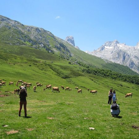 Hosteria Picos De Europa Потес Экстерьер фото