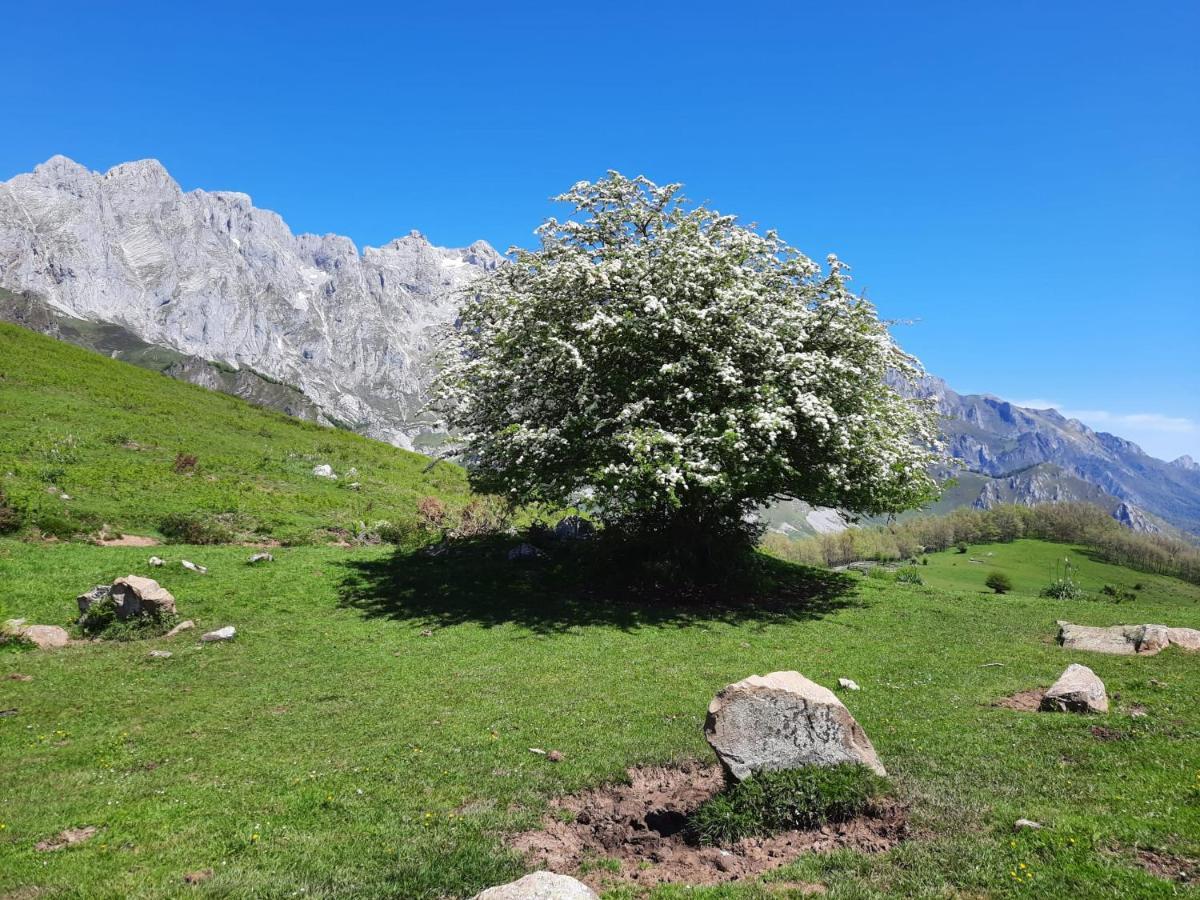 Hosteria Picos De Europa Потес Экстерьер фото